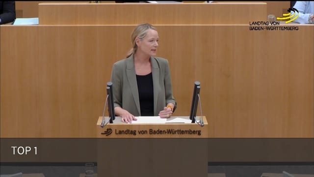Landtagsrede zum Thema Rekordhitze und Unwetter