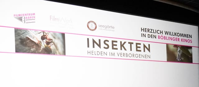 Besuch im Bärenkino anlässlich des Films „Insekten – Helden im Verborgenen“